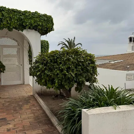 Villa Tp Maria Luisa Dos Olhos - Piscina Privada E Albufeira